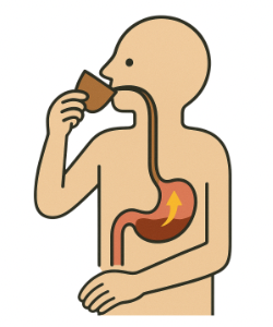 Image of coffee going down the esophagus